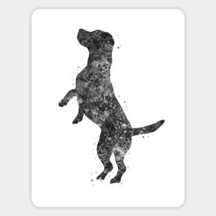 Beagle dog black and white Magnet